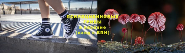 шишки Абинск
