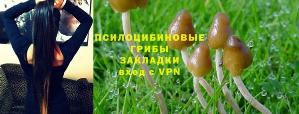 шишки Абинск