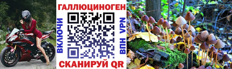 продажа наркотиков  дарк нет телеграм  hydra ссылка  Галлюциногенные грибы Magic Shrooms  Мостовской 